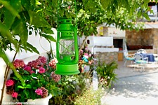 House Dimitra, Studios in Vourvourou